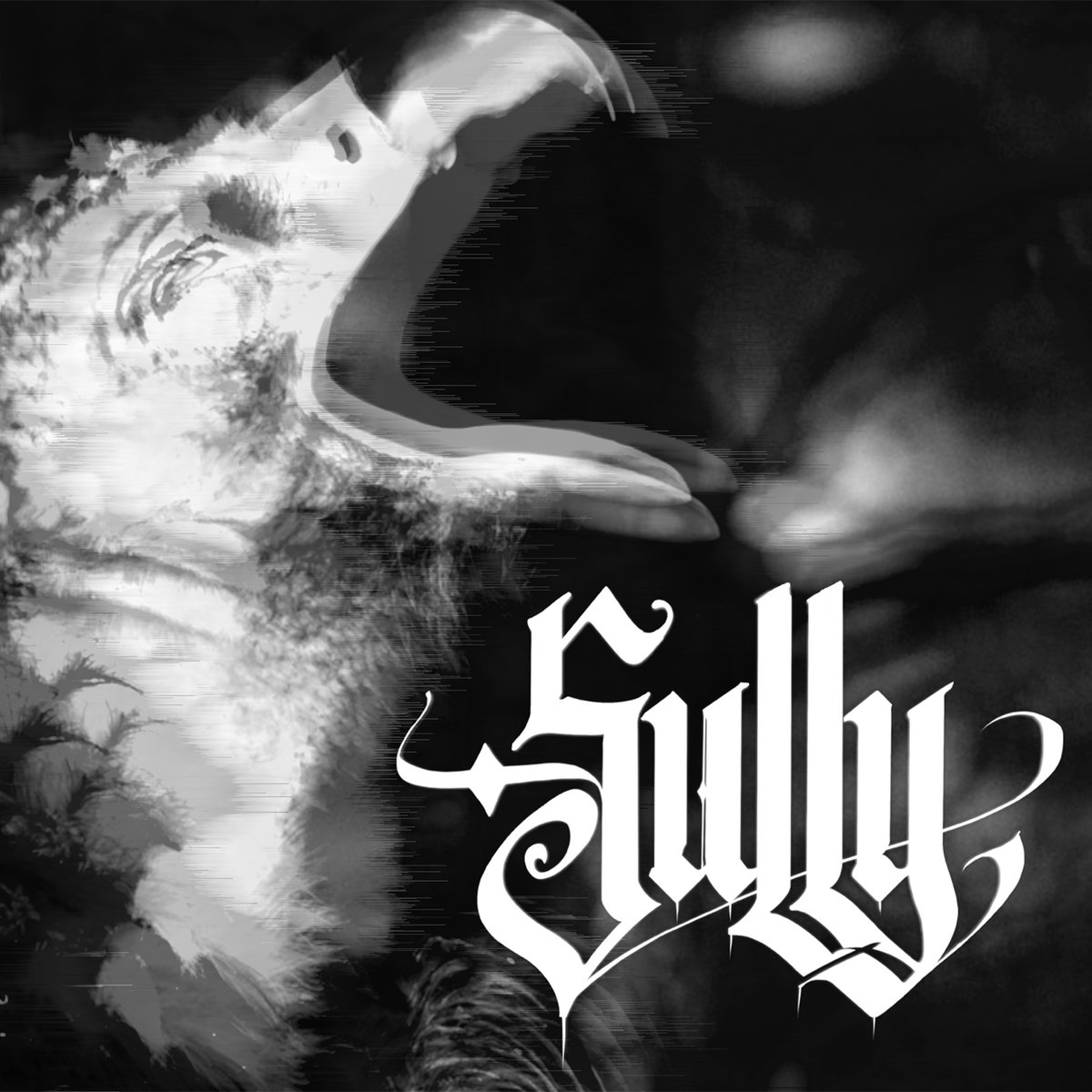 hpgd666's tweet photo. Up now for pre-order, coming Sept. 13th!
SULLY "Sully"
Order: https://t.co/TiSZT8ys7M
#sully #grindcore #hardcore #nuclearassault #brutaltruth #burntbytthesun #discordanceaxis #humanremains #pigdestroyer #psyopus #theredchord #sulaco #hpgd @revdanwilson @dbmagazine https://t.co/mFlIlHQu7b