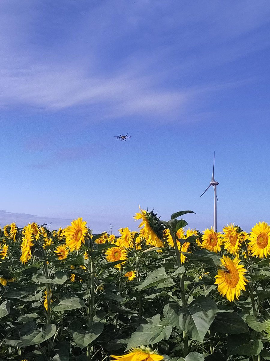 Drone application. 
I suspect we’ll see a lot more of this. 
#ag
Future of farming