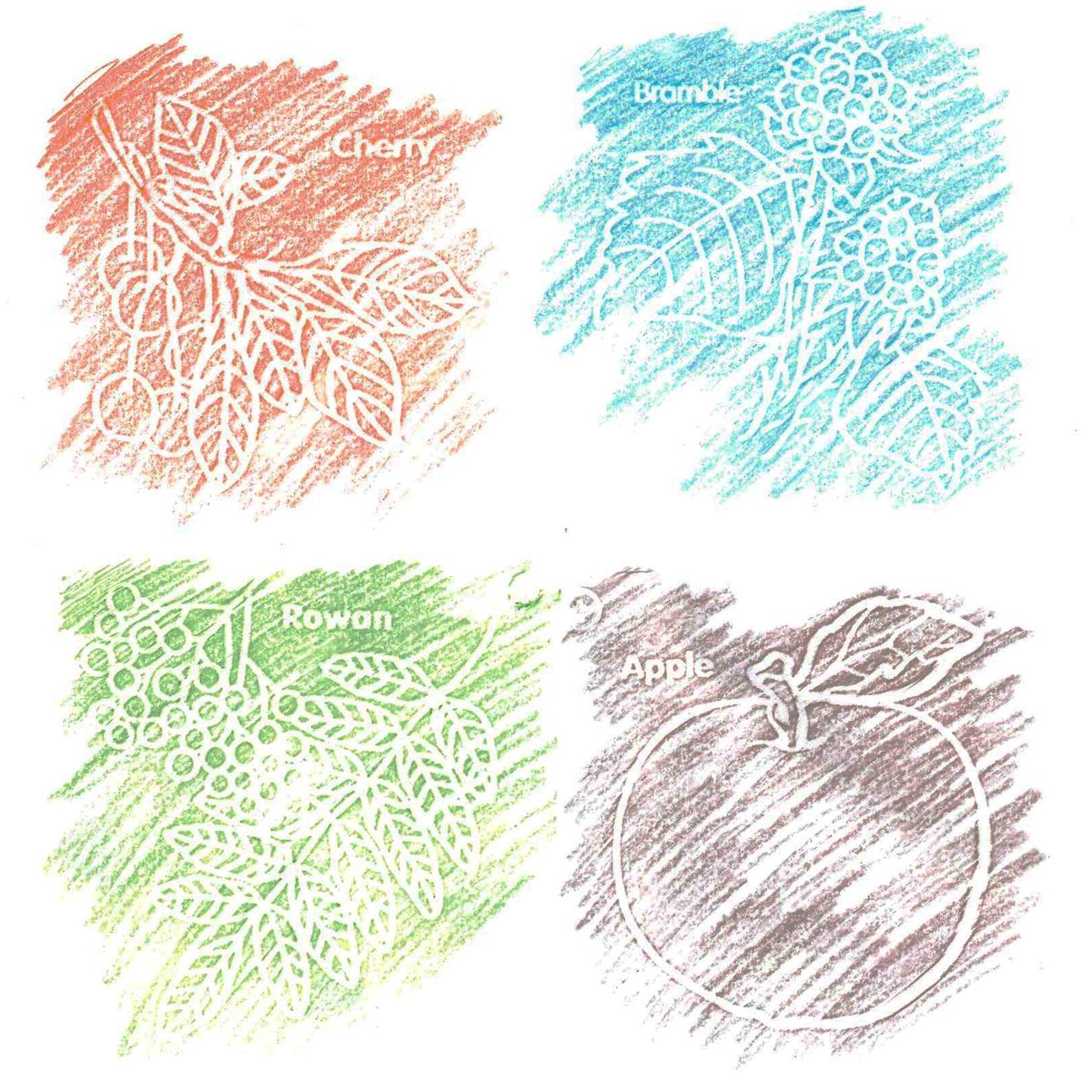 South Yorkshire Community Woodlands tweet media