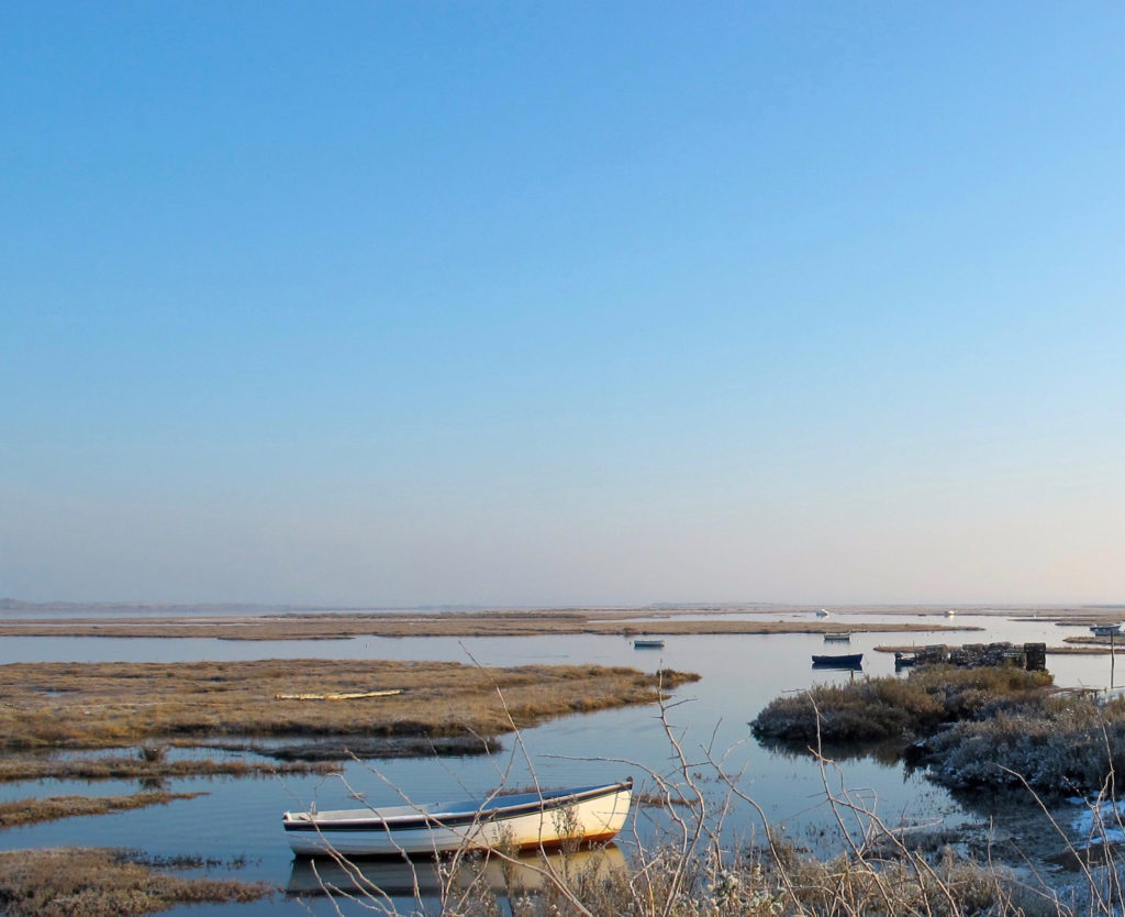 Can anyone think of a more perfect spot to spend the hottest day of the year than here, with a cold drink in hand and a seafood platter to feast on?
This is the spectacular view from the <a href="/WhiteHorseBranc/">The White Horse</a>  in Norfolk. 
We explore more here: bit.ly/3CP4Rhr