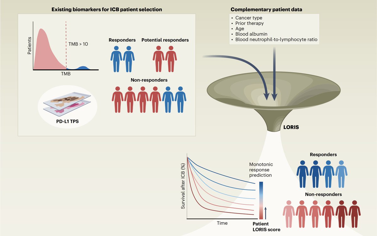 Eric Topol (@erictopol) on Twitter photo How to improve effectiveness of cancer immunotherapy?
Integrate multiple layers of omic data with #AI
nature.com/articles/s4301… <a href="/NatureCancer/">Nature Cancer</a> How to improve effectiveness of cancer immunotherapy?
Integrate multiple layers of omic data with #AI
nature.com/articles/s4301… <a href="/NatureCancer/">Nature Cancer</a>