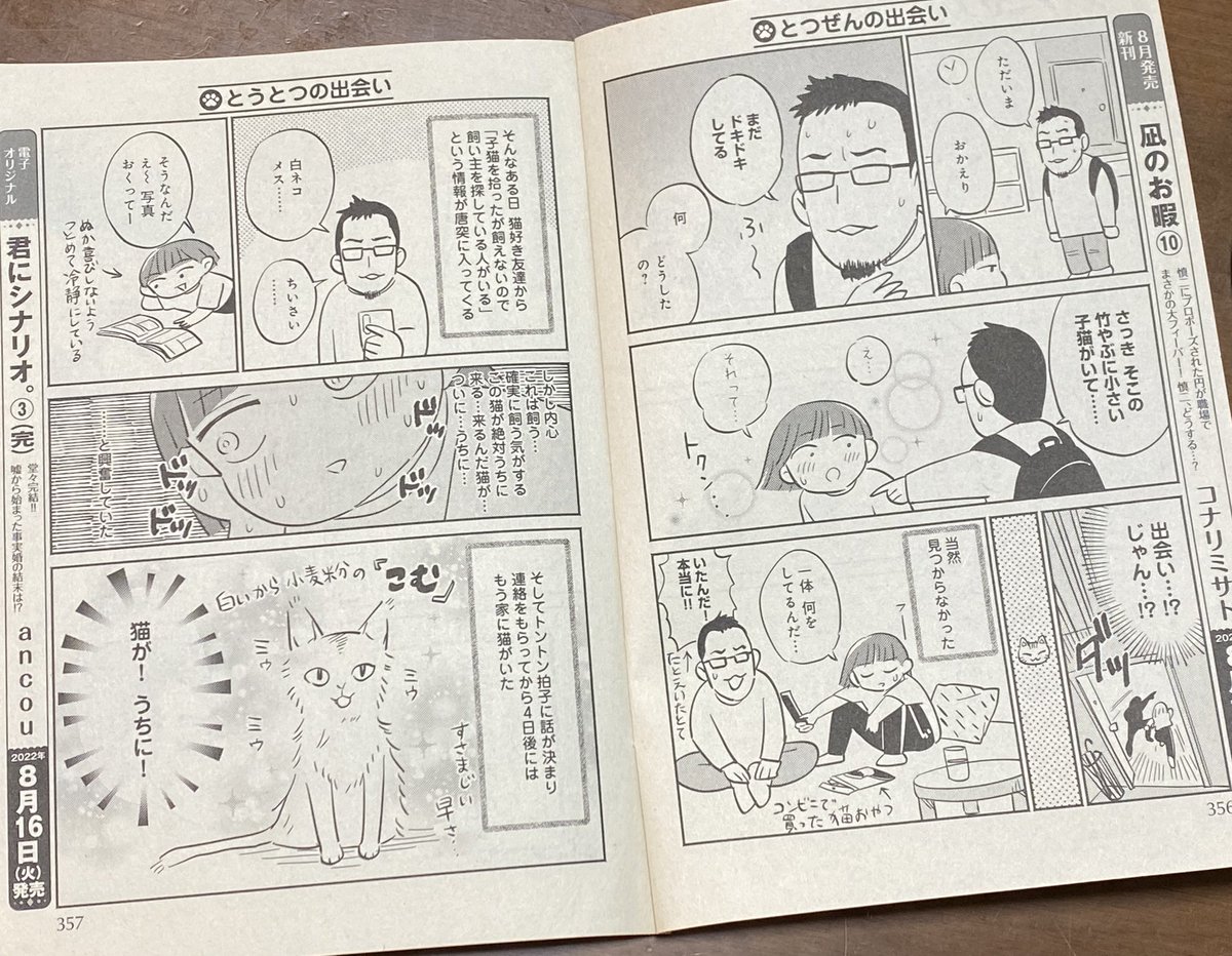 そういえば以前読み切り猫漫画でもせきしろさん描いたのでした。
せきしろさんの親が「そっくり!!!😂」とめちゃくちゃ笑ってくれてよかった! 
