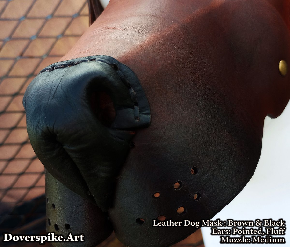 Chaos (cdoverspike at Bskyyy) tweet media