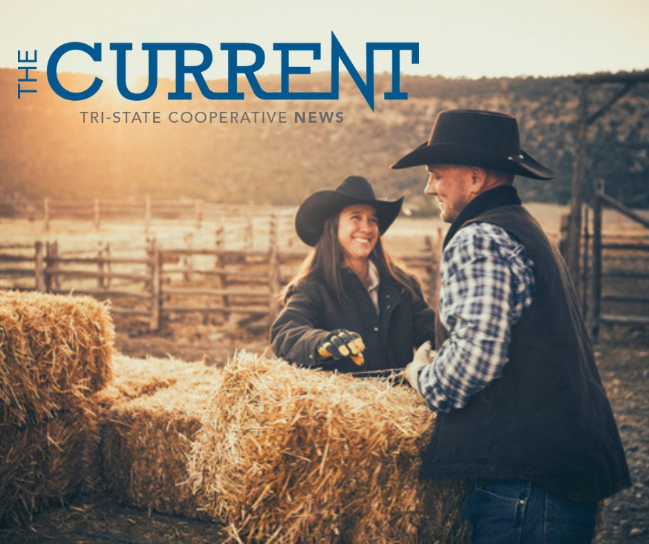 In our newsletter ⚡ The Current bit.ly/4dEcdUc

🎉 New wholesale rate design accepted by FERC
⭐ Bring Your Own Resource program 
☀️ Spanish Peaks Solar/Spanish Peaks II Solar updates
❇️ Spotlight on GCEA
🙌 2024 Intern Day at Tri-State

#Cooperative #BetterTogether