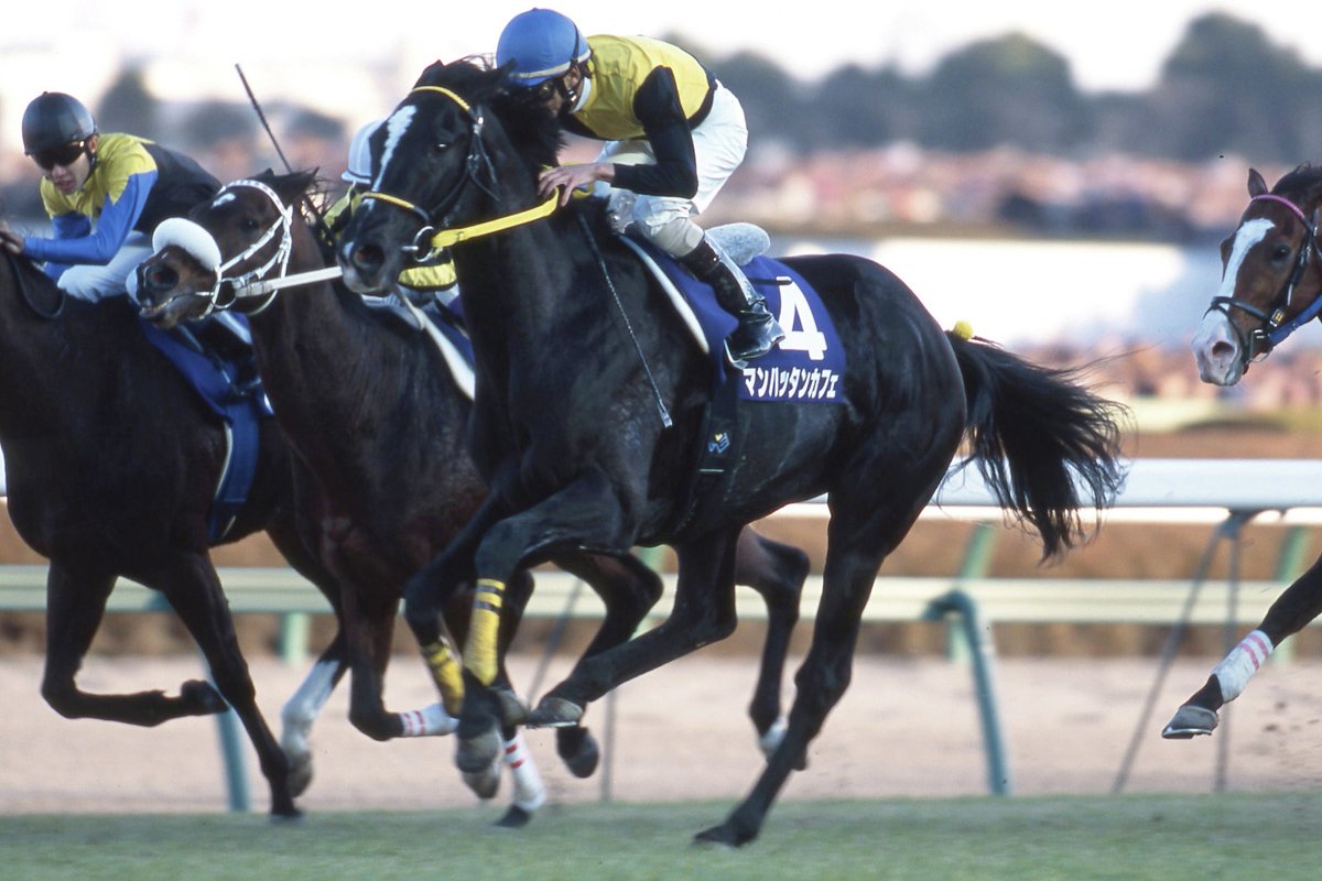 有馬記念などG1を3勝した #マンハッタンカフェ が亡くなってから今日で