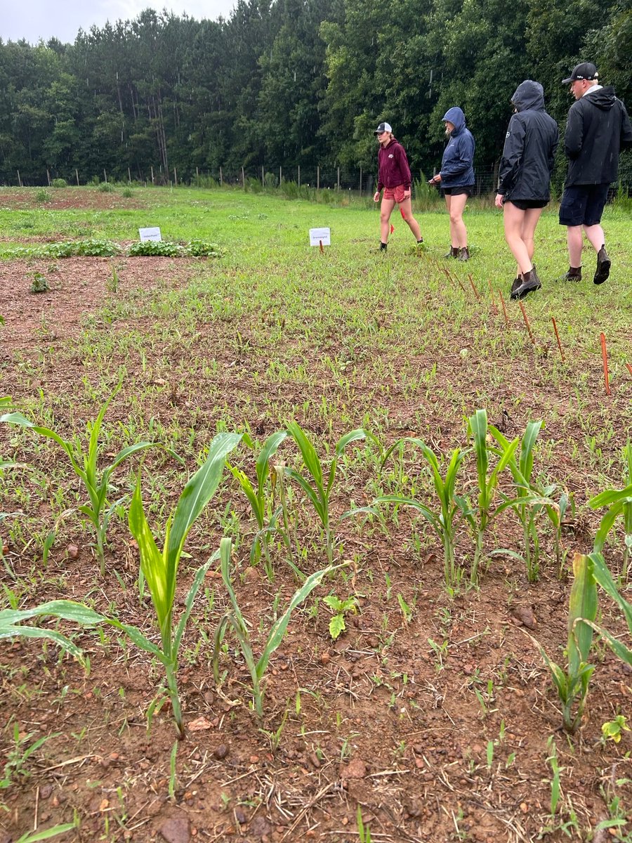 BASF Agricultural Solutions Canada tweet media