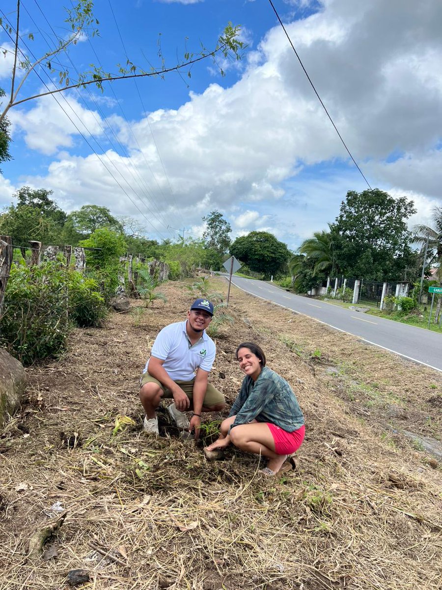 rpc_radio's tweet photo. Los jóvenes de la Junta de Desarrollo Local de Las Huacas, en el Distrito de Boquerón, provincia de Chiriquí, están comprometidos en embellecer y proyectar su comunidad.

Con una jornada de siembra de guayacanes, palmas ornamentales, veraneras y loritos, el equipo de Gestión Ambiental, con el apoyo de Cristhian Elisondro de @JuventudAgro, dio inicio a esta noble iniciativa.

Es la primera vez en la historia de la comunidad que se organiza una jornada de siembra liderada por jóvenes, marcando un hito importante en el desarrollo y cuidado del entorno natural de Las Huacas.

#RPCRadio