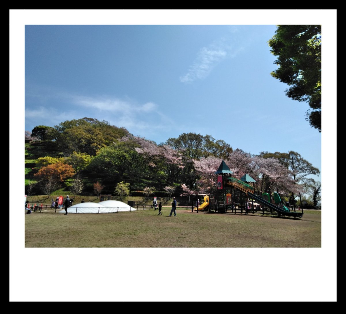 hime_mi_01's tweet image. お花見。

#2boy&amp;amp;girlママ（数時間だけ）
#即席ドクターイエロー弁当（茶系でゴメンネ）