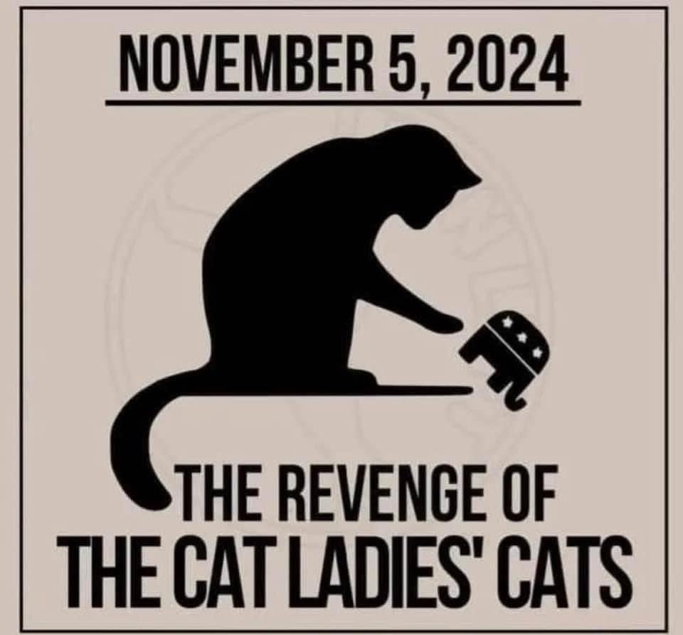 ShiZaruZoe's tweet photo. @WUTangKids Welp f them weirdos. LFG for the trifecta #GOLD #Nov5 & 🎶 “move over” to the side these kkkult kkkreepy fools & tools ⚒️ #Topple https://t.co/RJtp4hjO8U