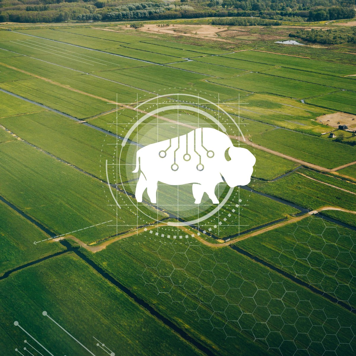 Hello, world!🚀
Today, Bison Data Labs begins its journey. We’re here to turn data into actions for agronomists, researchers, and businesses alike. 
Let’s explore how data can transform agriculture, one dataset at a time. Follow us for more! 🌾📊 

shorturl.at/7wjcT