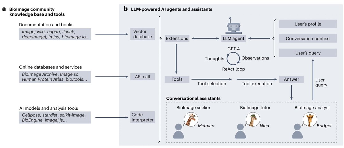 Nature Methods (@naturemethods) on Twitter photo Also in this month's issue: the BioImage.IO Chatbot is a community-driven platform leveraging GPT-4, retrieval augmented generation and advanced AI agents to help users navigate bioimaging tools, databases and services. <a href="/imweio/">Wei OUYANG</a> Also in this month's issue: the BioImage.IO Chatbot is a community-driven platform leveraging GPT-4, retrieval augmented generation and advanced AI agents to help users navigate bioimaging tools, databases and services. <a href="/imweio/">Wei OUYANG</a>