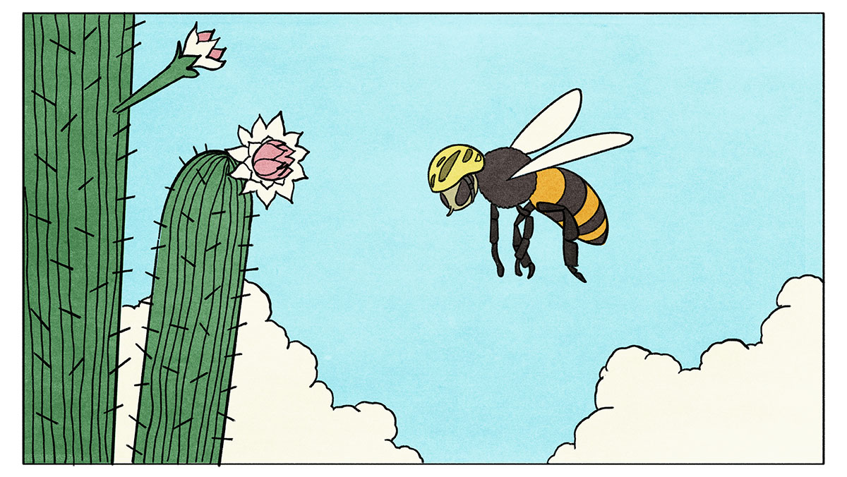 How can institutional investors navigate the challenges of natural capital investments?
“Institutions must think for the long term when investing in sustainable agricultural themes and reconsider how to review results.” 
 #impactinvesting
bit.ly/3Am9ZKT