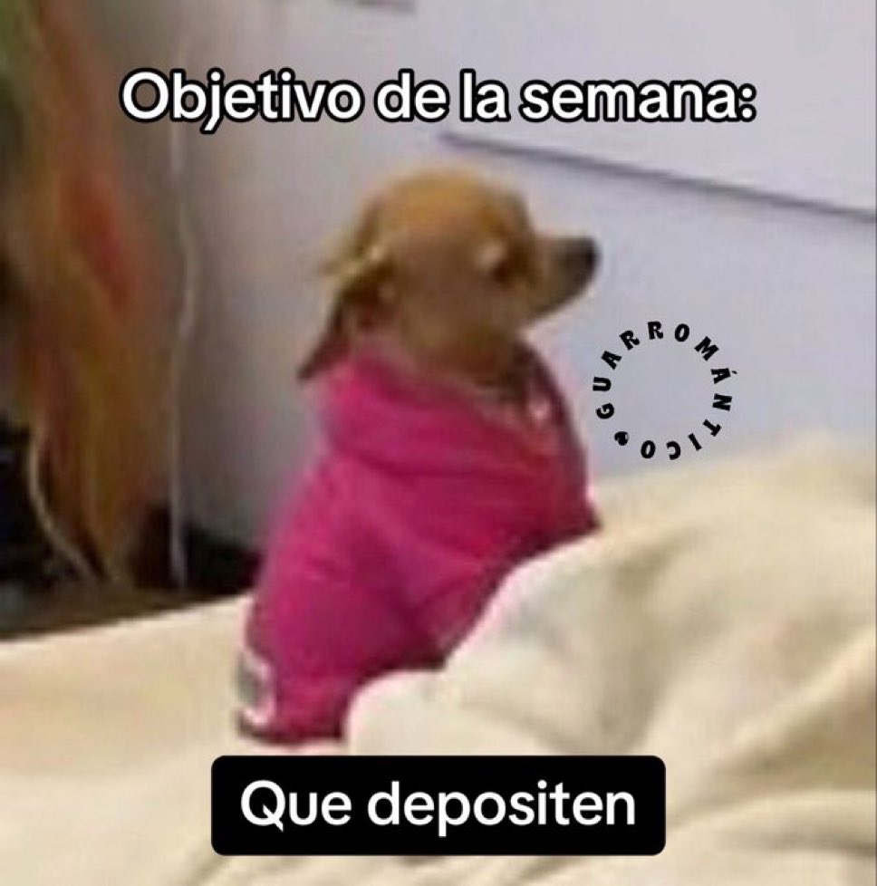 MexicoMagico's tweet photo. https://t.co/UkgUiopbu0
