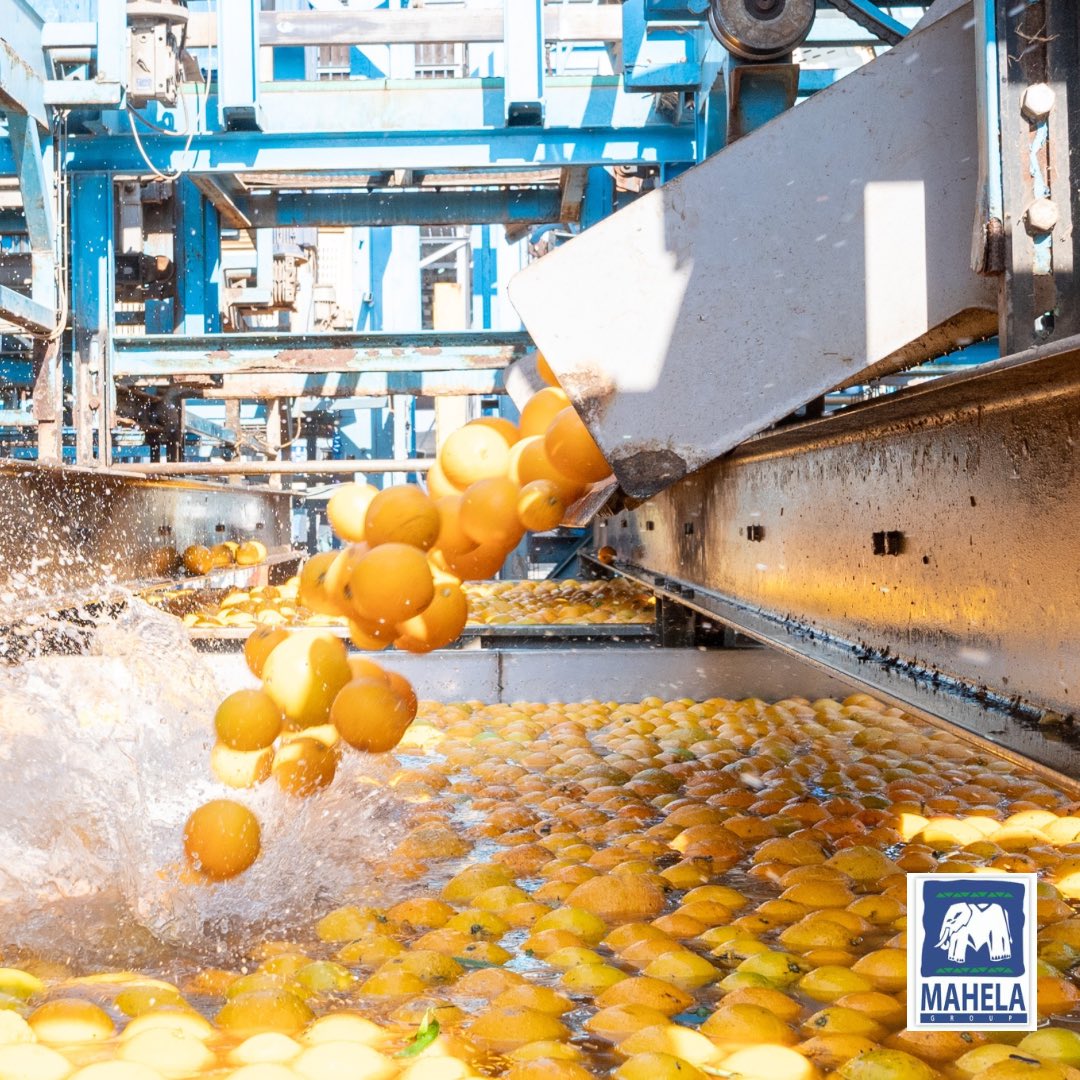 Mahela Group tweet media