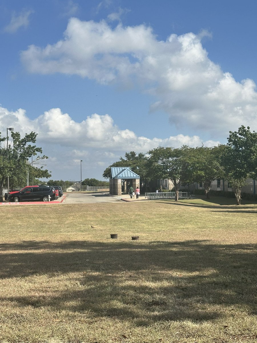 Brandon Evans tweet media