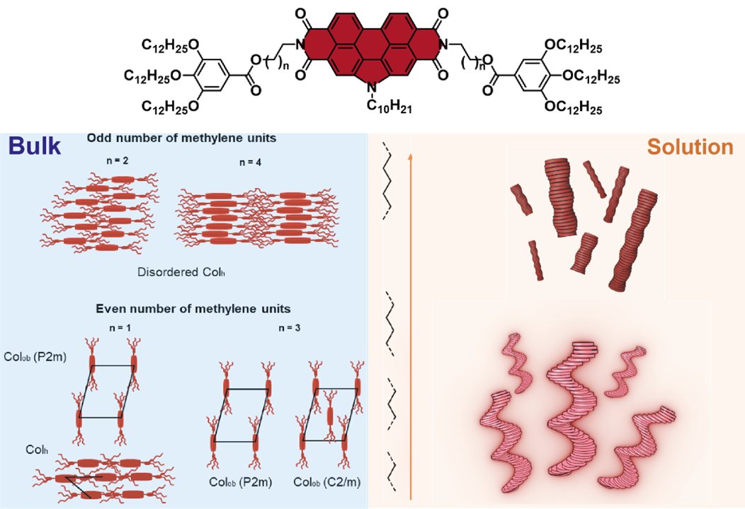 Luis Sánchez Martín (@lsm_lab) on Twitter photo Upon the <a href="/lucialopez_chem/">Lucía López</a> stay at <a href="/TUeindhoven/">TU Eindhoven</a> under the supervision of Prof. E. W. Meijer, an excellent collaborative work on the self-assembly of NPDIs is just out in Chem. Sci.👉pubs.rsc.org/en/content/art…. Congrats to <a href="/GiuliaLavarda/">Giulia Lavarda</a>, Bart van den Bersselaar and <a href="/GVantomme_/">Ghislaine Vantomme</a>!!!!! Upon the <a href="/lucialopez_chem/">Lucía López</a> stay at <a href="/TUeindhoven/">TU Eindhoven</a> under the supervision of Prof. E. W. Meijer, an excellent collaborative work on the self-assembly of NPDIs is just out in Chem. Sci.👉pubs.rsc.org/en/content/art…. Congrats to <a href="/GiuliaLavarda/">Giulia Lavarda</a>, Bart van den Bersselaar and <a href="/GVantomme_/">Ghislaine Vantomme</a>!!!!!