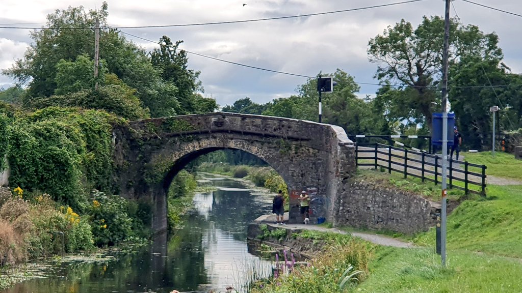 CiaranCuffe's tweet photo. Cycled along the Royal Canal tow-path from Phibsborough to Pakenham Bridge in Clonsilla yesterday. Tree-roots and nettles in the #DeepSinking section quite a challenge, next time I'll go by barge! https://t.co/5N2JhnDJba