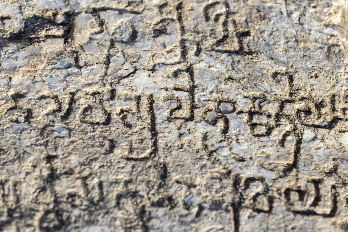 Roger Anis روچيه tweet media