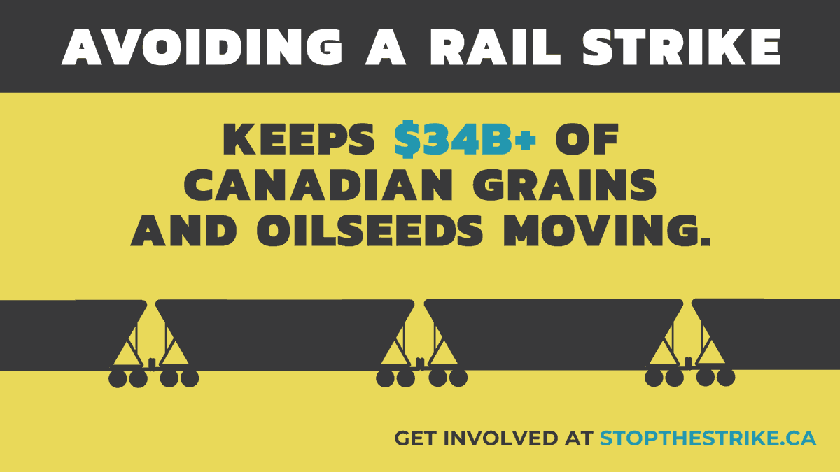 Alberta Grains tweet media