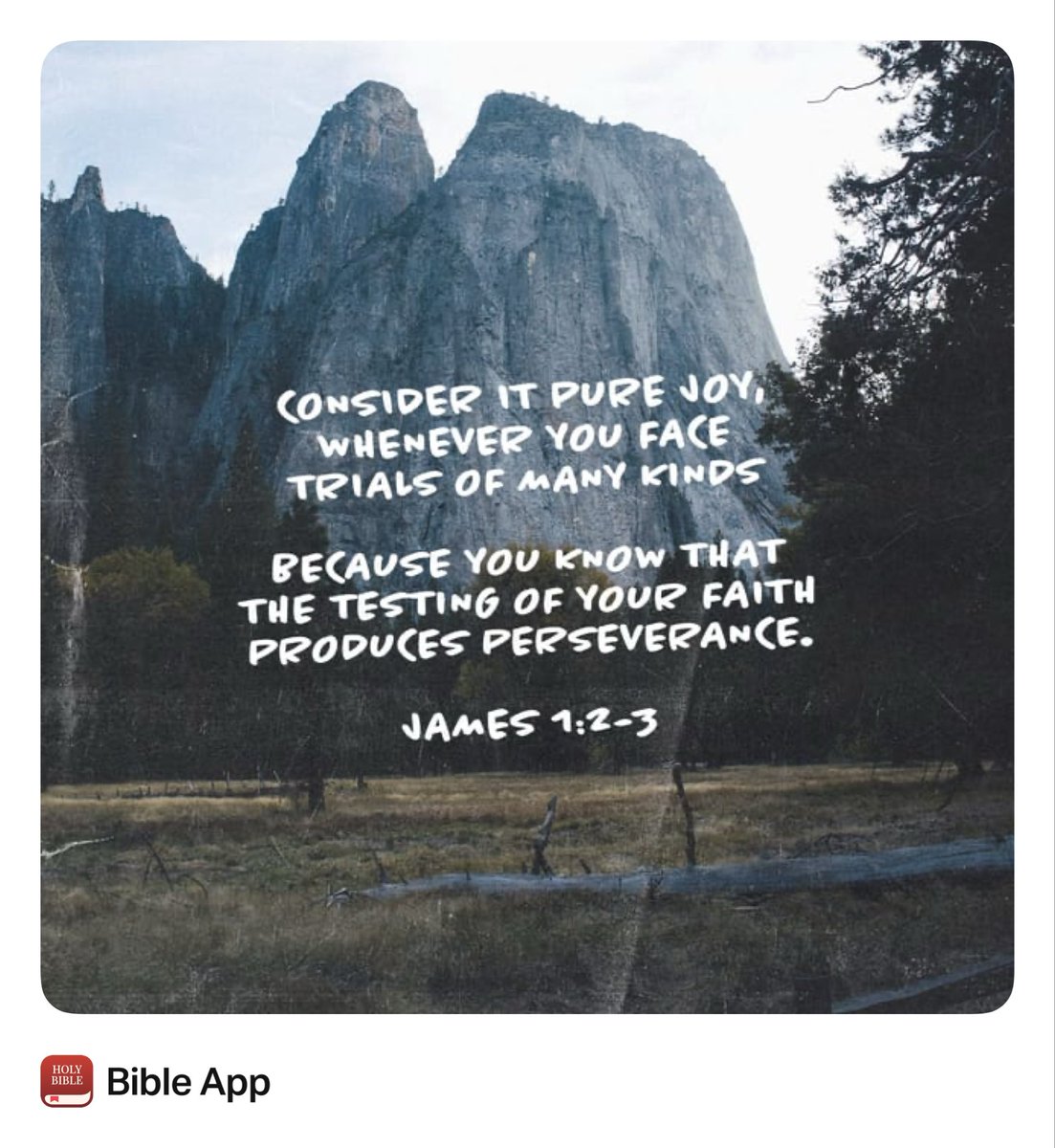 rb224e's tweet photo. This verse just hit hard today.  At the point of my project where so much is going on and som much is riding on things to happen knowing the testing is right in my face.  Finding way to be joyful and full of faith is the only way through. https://t.co/HJ8wVGXUSU