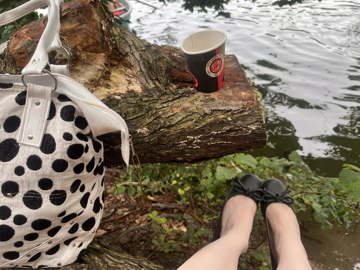 Delia15515's tweet photo. Not a brat summer https://t.co/rE9gbWax55