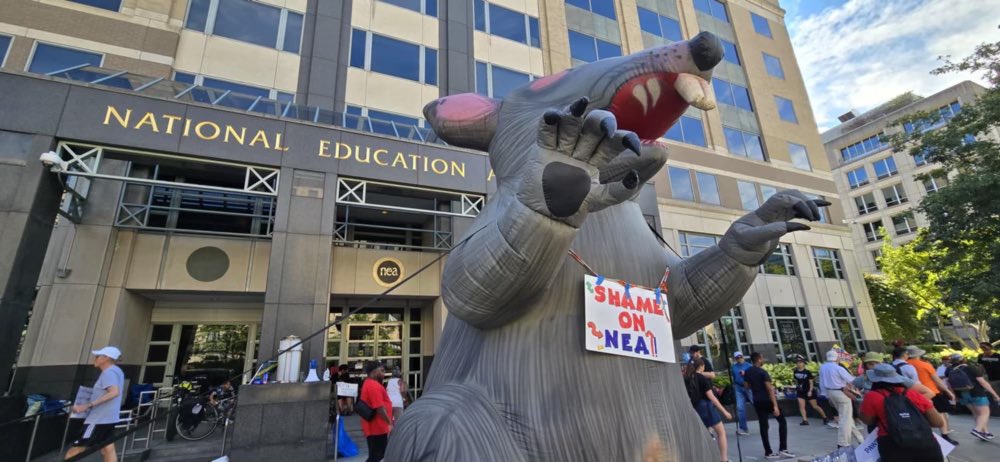 Rebecca Rainey tweet media