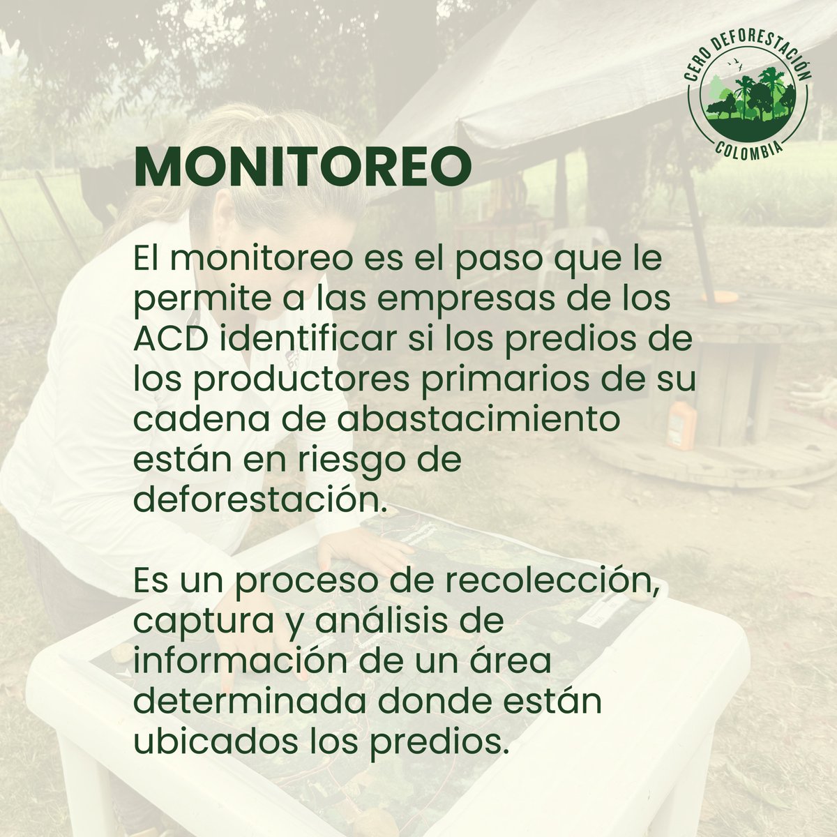Acuerdos Cero Deforestación Colombia tweet media
