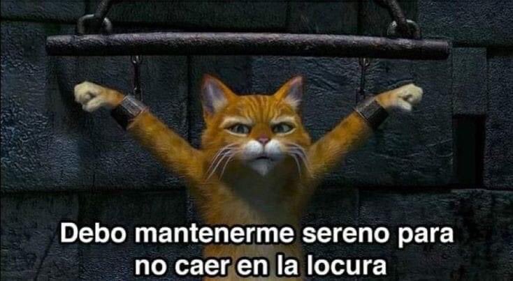yo sin saber qué está pasando con venezuela justo ahora, no encuentro casi noticias, no sé si maduro se murió o sigue vivo, no sé qué hacer con mi vida