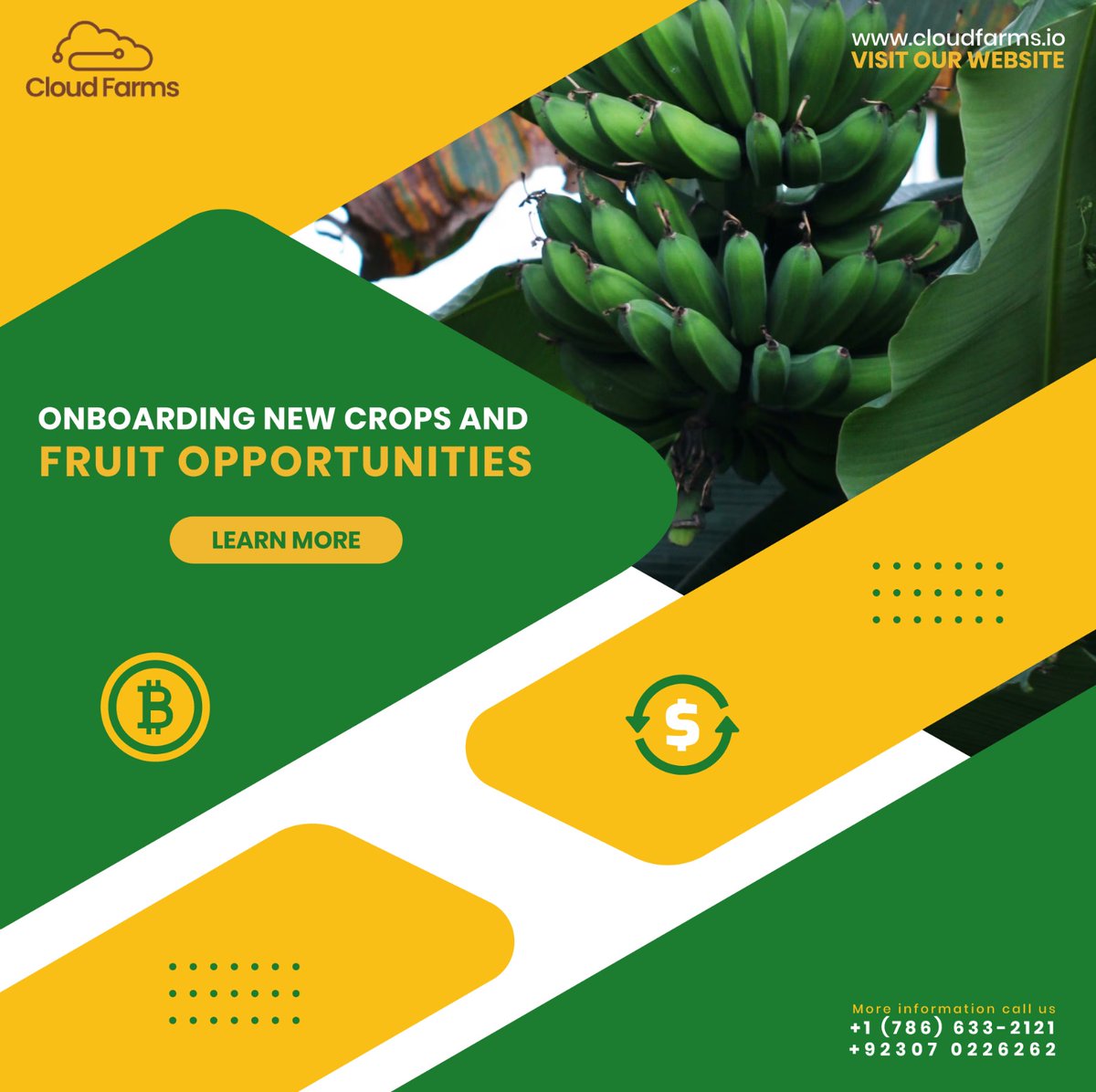 cloudfarms_io's tweet photo. Banana Farm Autumn Contract 2024 is the innovative phase of agriculture investment
🔗 https://t.co/mllbsIsimG
📞 +1 (786) 633-2121
#blockchaininfarming #smartfarming #Cloudfarms #farminvestment #agriculture #farmlandforsale #agribusiness #FarmingSolutions #digitalfarming https://t.co/weWuR84VIp