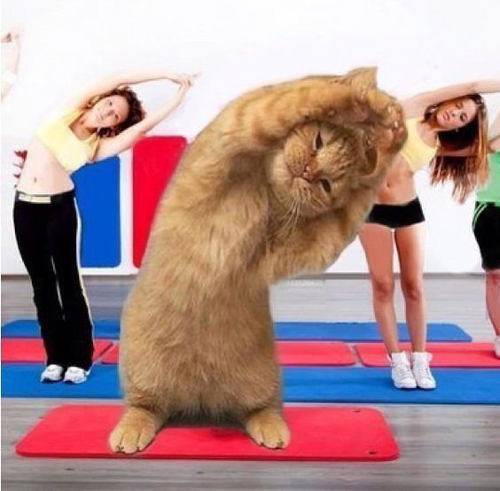 共享一份DrissionPage自动化Morelogin指纹浏览器的示例源码。
🐱晚上尝试了一下自动化操作Morelogin指纹浏览器，确实在安全性方面下了功夫，比如接口身份验证，签名请求加密对撸毛党都很友好。
至少单从API接口来看，Morelogin提供了更好的安全性，启动速度也很快。(我ADS总是遇到网络错误)