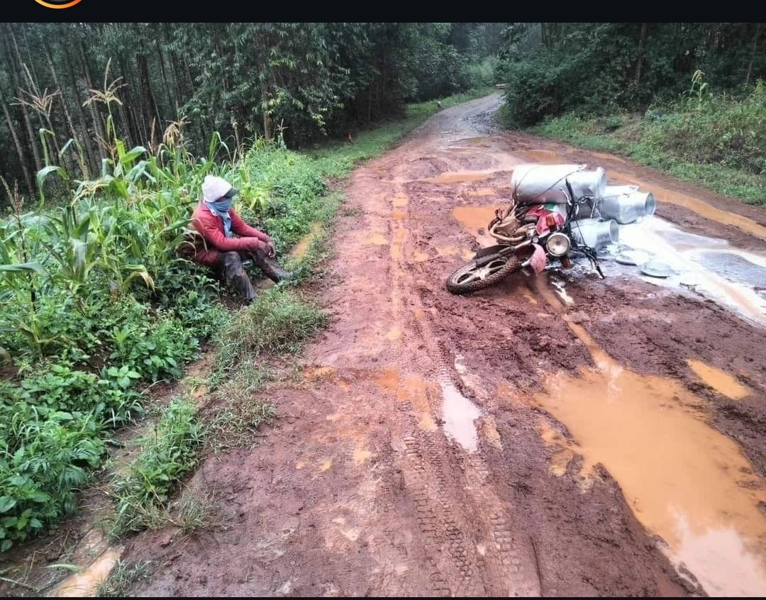 HisIssss's tweet image. If I send you this, just know I'm having a rough day😂😂😂