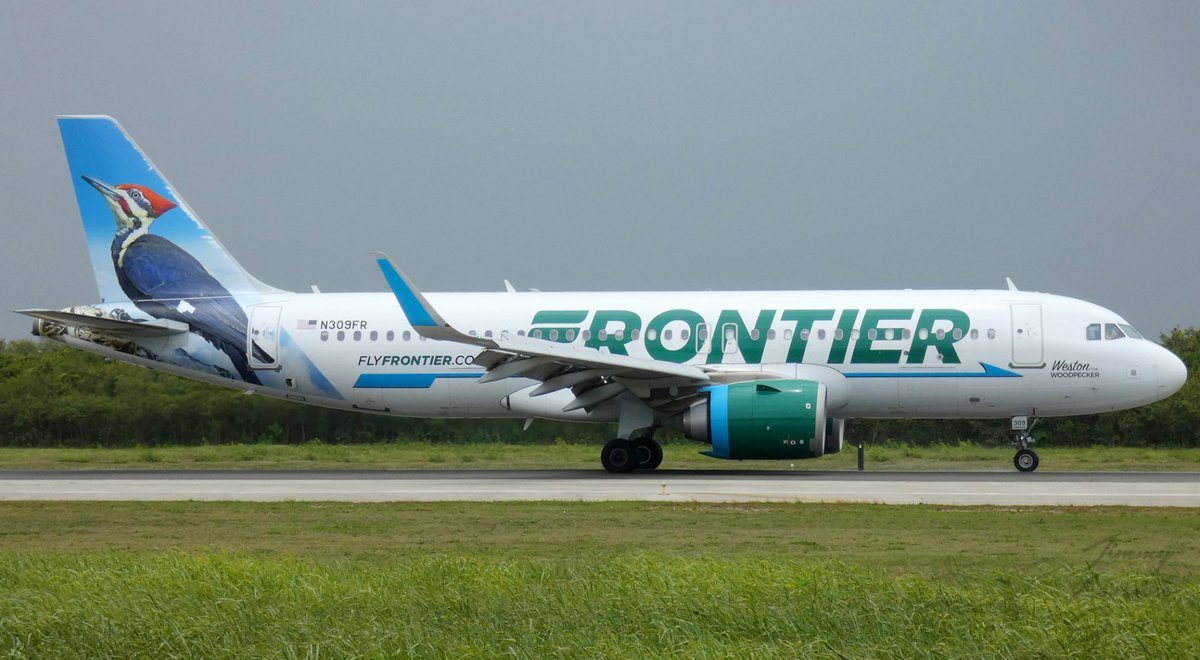 Dominican Plane Spotters (@drplanespotters) on Twitter photo Airbus A320 NEO N309FR de <a href="/FlyFrontier/">Frontier Airlines</a> en el <a href="/PUJAirport/">Punta Cana Airport (PUJ)</a> (PUJ/MDPC). Foto por <a href="/Sonikkito/">Nubetor 𝕏 🛩️</a>. Airbus A320 NEO N309FR de <a href="/FlyFrontier/">Frontier Airlines</a> en el <a href="/PUJAirport/">Punta Cana Airport (PUJ)</a> (PUJ/MDPC). Foto por <a href="/Sonikkito/">Nubetor 𝕏 🛩️</a>.