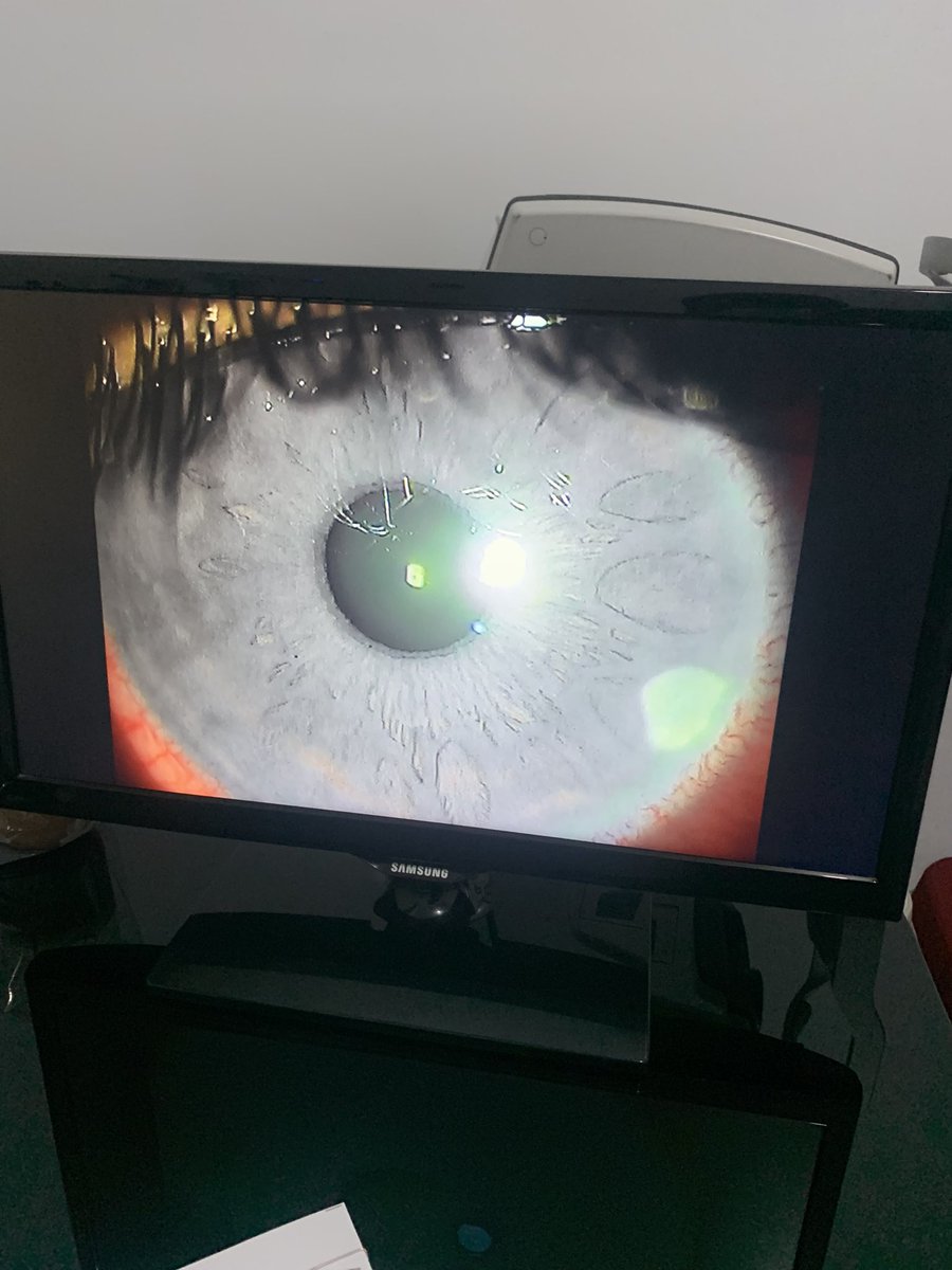 sidang di 2025 aamiin tweet media