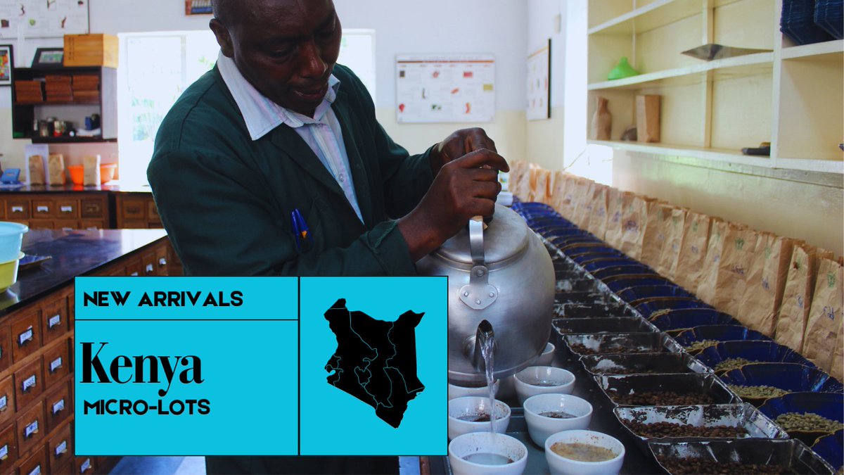 Genuine Origin Green Coffee tweet media