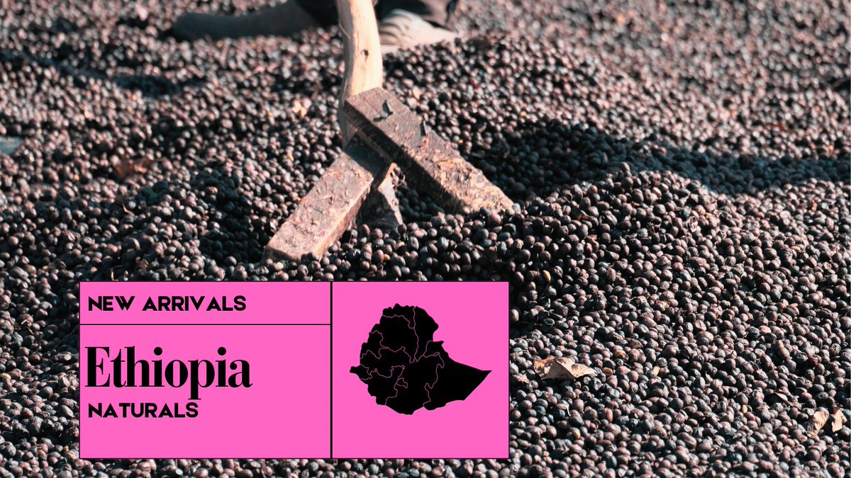 Genuine Origin Green Coffee tweet media