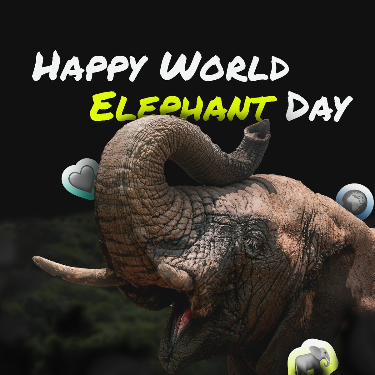 UntamedNFT's tweet photo. 🧡 Elephants have roamed the Earth for millions of years, and it's our responsibility to ensure they continue to do so. On World Elephant Day, let's commit to safeguarding their habitats and lives.

🌍 Join us in making a difference, explore Untamed today. https://t.co/fz60YG6QbJ