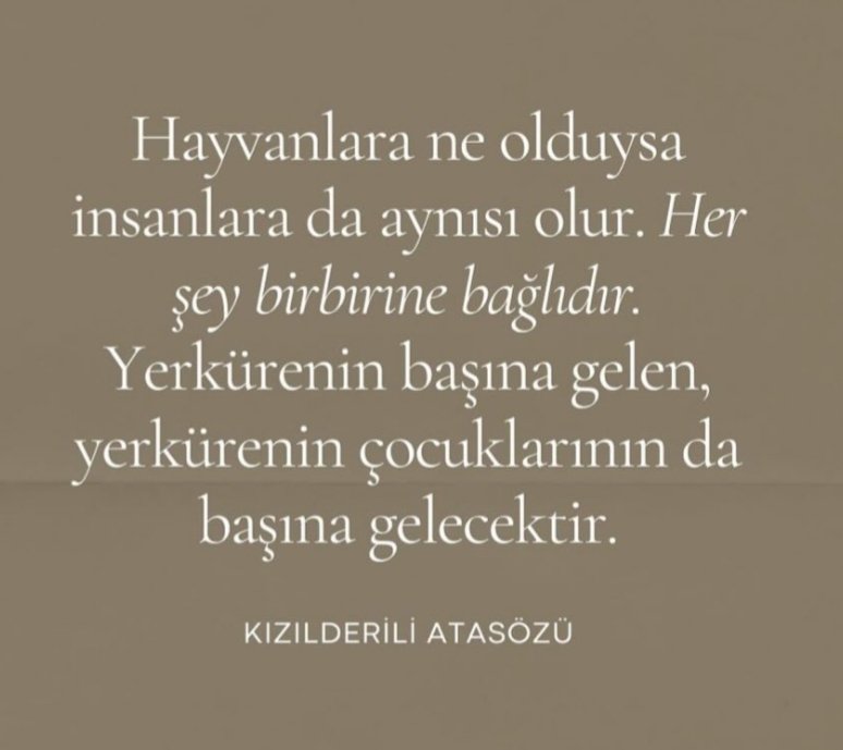 #Turkiyedekatliamvar