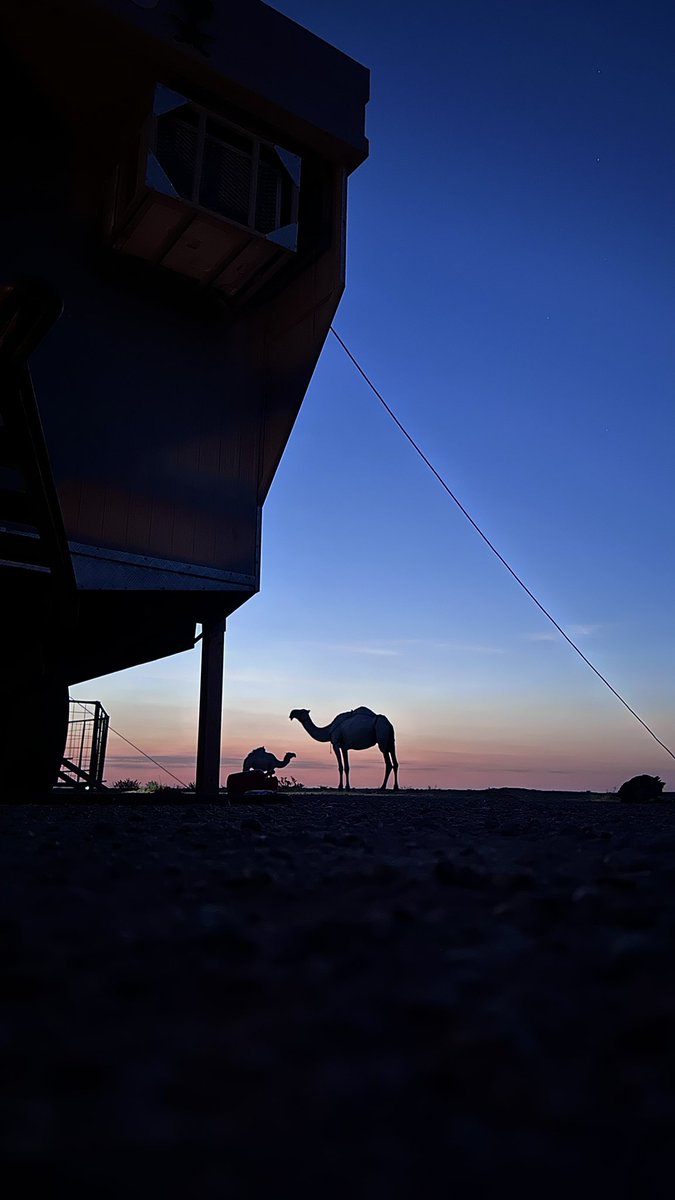 "قد بغيت  اصفّي النيه واتوب لـ ربي
لين جيتي واعترضتي دون باب التوبه"