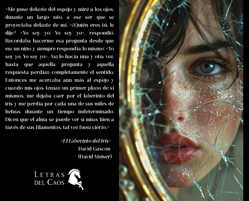 Letras del Caos tweet media