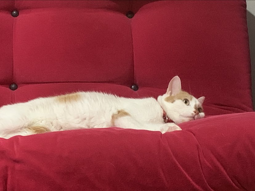 cizgi film izliyoz beraber 🥺