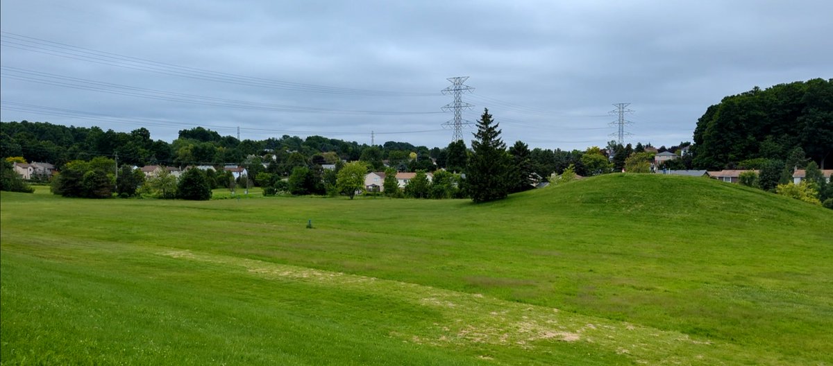 We used your feedback to develop a draft design for Meadowlane Park! Let us know what you think by checking out the designs and completing the survey! Provide your feedback by Aug. 15: bit.ly/45ZUOCJ