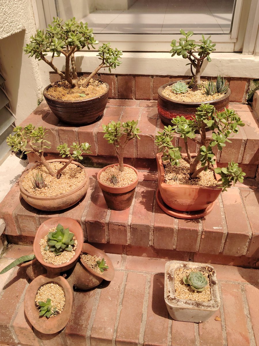 Todos buscamos la forma de sacar el stress del día a día, esta es la mía. ☺️