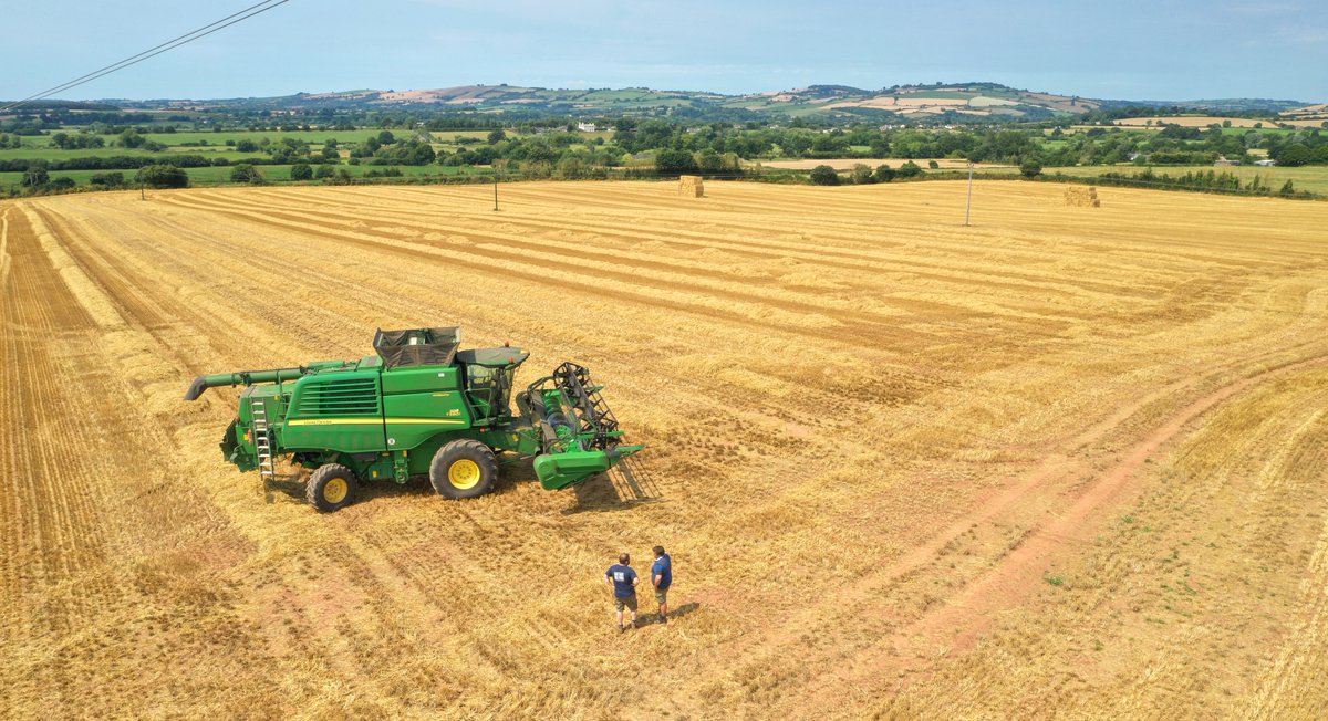 It’s THAT time of year. The barley harvest provides the brewer with their most important raw ingredient. Without it, there simply wouldn’t be any beer. We’re very lucky to be surrounded by these fields of Devon gold; a lovingly made pint of cask ale really is a thing of beauty.