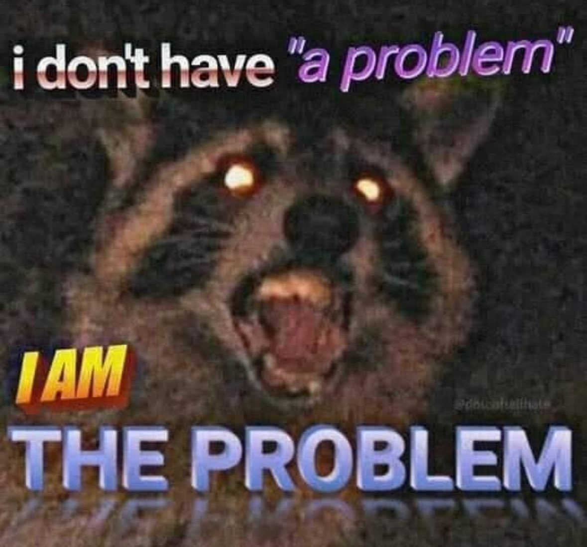raccoonesthetic's tweet photo. https://t.co/fqd2LKYRs7