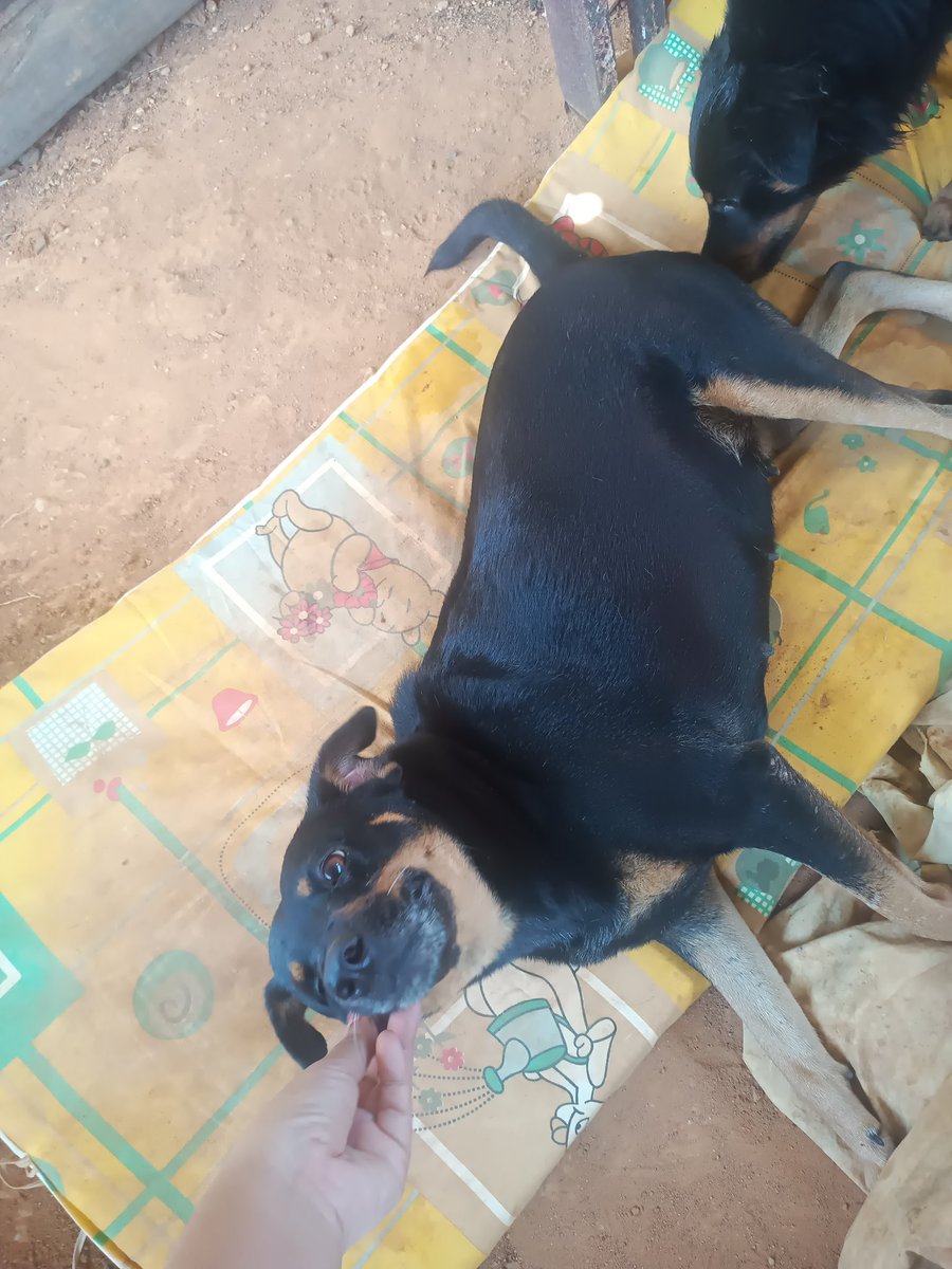 David López (@lopdavicito) on Twitter photo 