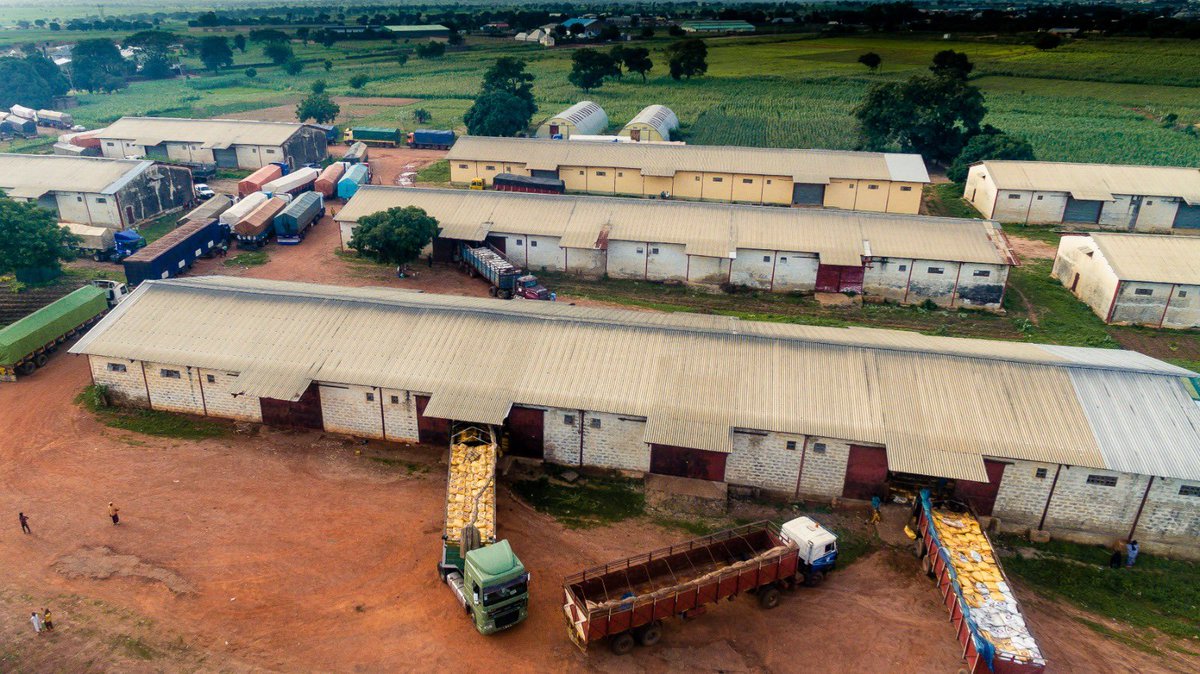 ubasanius's tweet image. In the livestock sub-sector, we successfully vaccinated animals and provided pre-exposure vaccinations to various veterinary and community workers. Furthermore, we recently launched a comprehensive vaccination campaign against Anthrax and other Transboundary Animal Diseases…