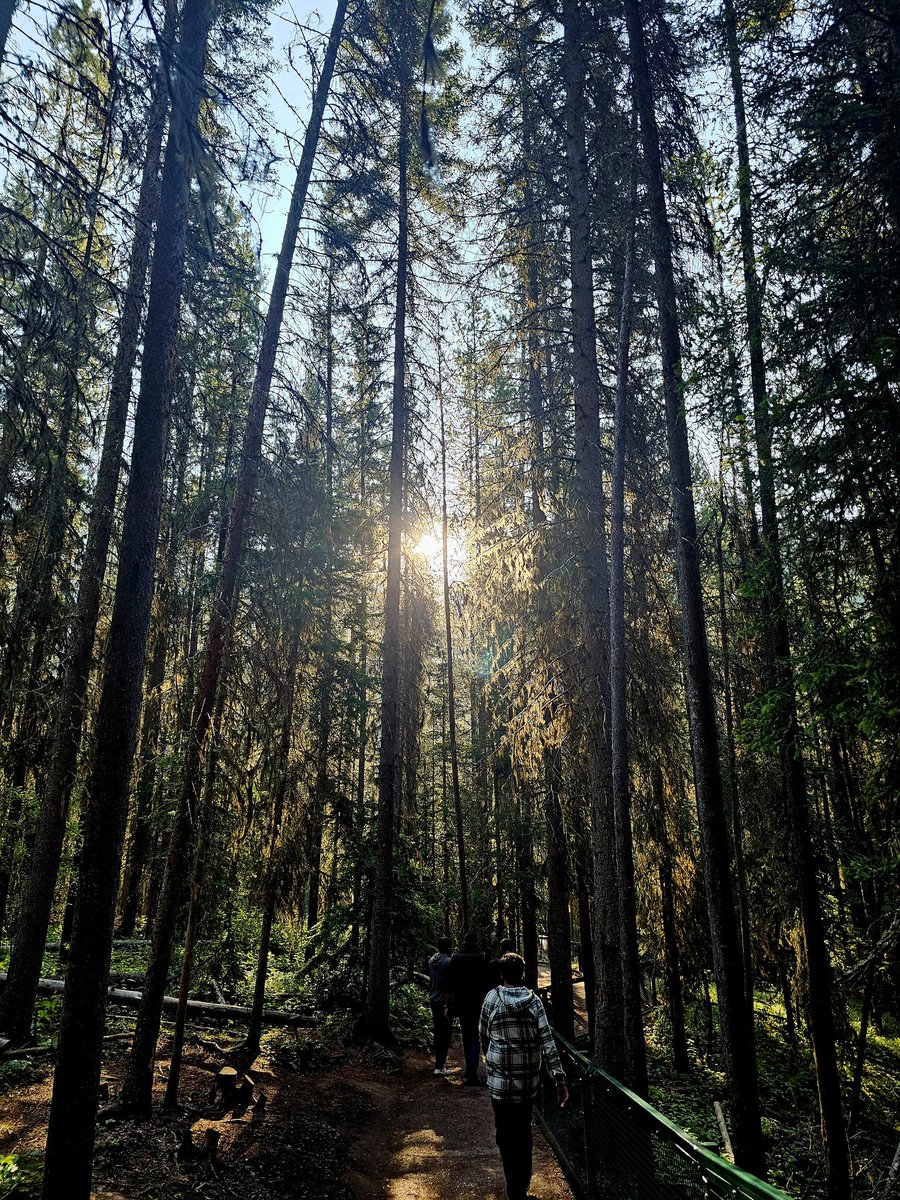 N4V1111's tweet photo. Feeling the endless sunshine in the woods! PRICELESS β
.
.
#viewfromcamera #photography #naturephotography https://t.co/B4UCW7z63n
