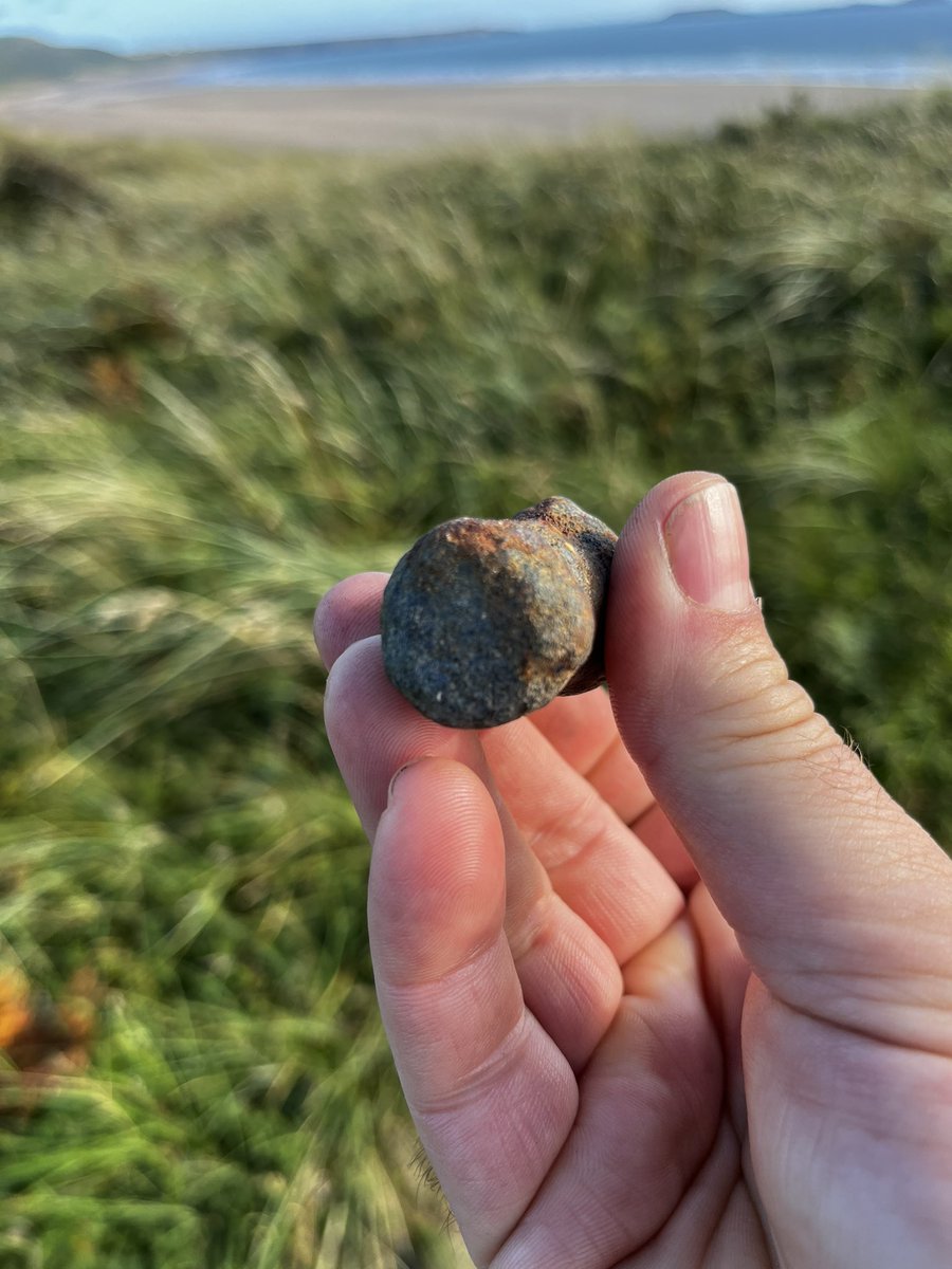 Found my lad bashing this on a rock on our beach walk just now - looks alarmingly like a bullet so suggested he stopped 😂🫣 what  is it tho?