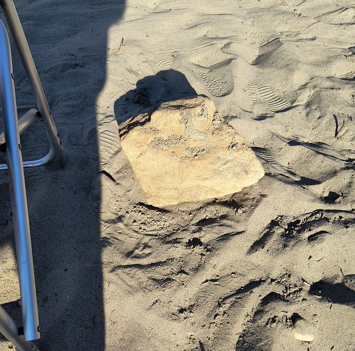 e44o's tweet photo. La mia vicina di ombrellone è na preta esagerata 😍
#spiaggelibere #love #ESTATE #ombrellone https://t.co/hgqjAaQ8h1
