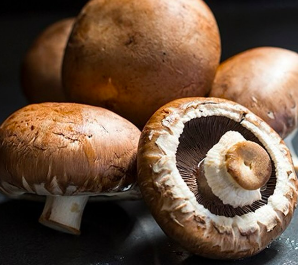 ChefLeander's tweet photo. Did you know. . .

Mushrooms are a rich, low-calorie source of fiber, protein, and antioxidants. #nutritionalfacts #mushrooms #chefleander #homecooking #veganrecipes #nutritarianlifestyle #healthyeating #healthylifestyle #easyrecipes #portlandoregon #cookingclass #localchef https://t.co/jNACMd7AJL